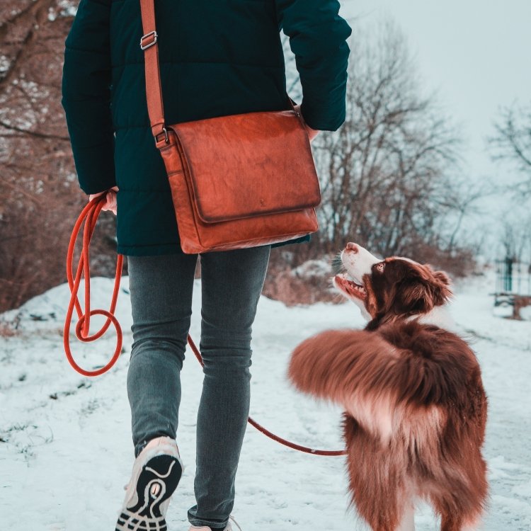 Kožená messenger taška Poyem materiál kože zapínanie s chlopňou farba koňaková veľkosť veľká 2205 Poyem KO Lifestyle