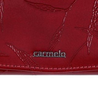 Dámska kožená peňaženka s jemným vzorom Carmelo materiál kože zapínanie na cvok farba vínová veľkosť veľká 2109 L BO Logo