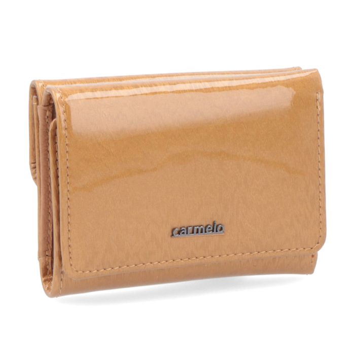 Kožená peněženka Carmelo – 2106 H ZL