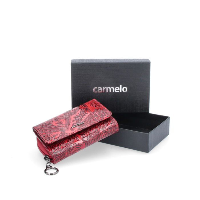 Kožená peňaženka Carmelo – 2105 Q CV